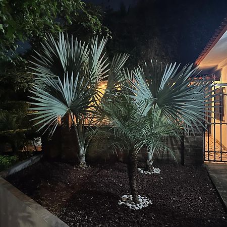 Villa Palmier -Quiet Cosy Air Conditioned Terrace Пуерто Валярта Екстериор снимка