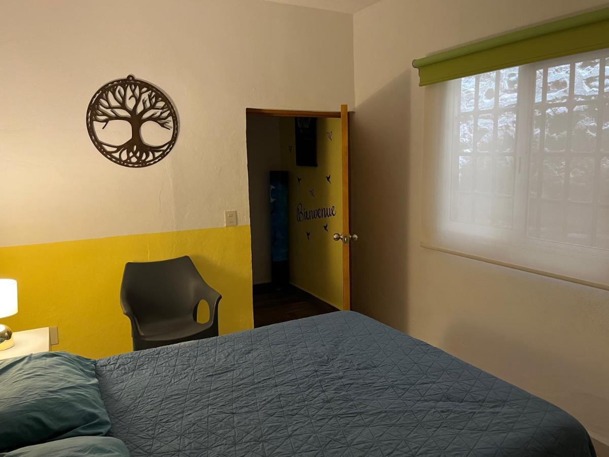 Villa Palmier -Quiet Cosy Air Conditioned Terrace Пуерто Валярта Екстериор снимка