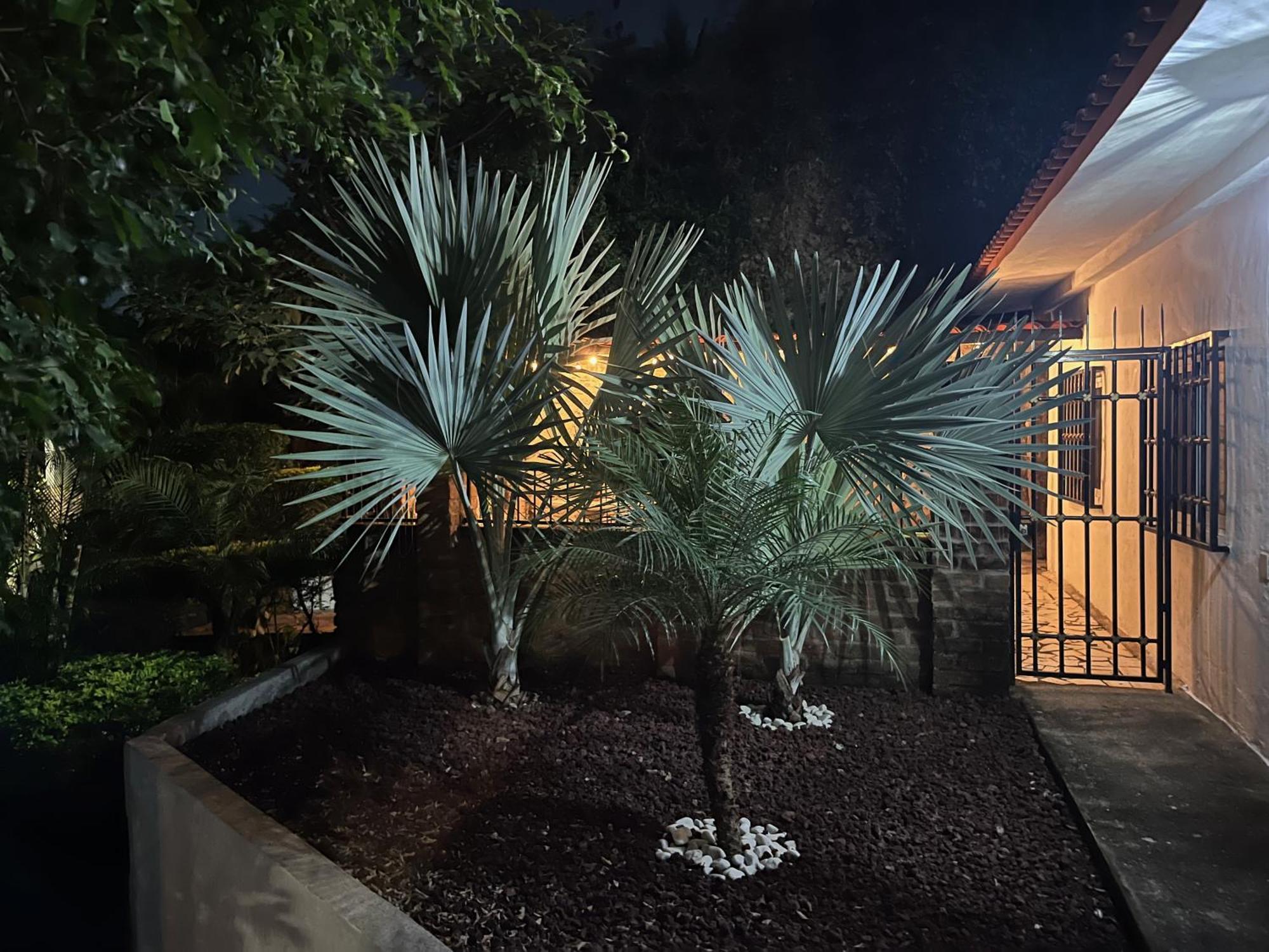 Villa Palmier -Quiet Cosy Air Conditioned Terrace Пуерто Валярта Екстериор снимка