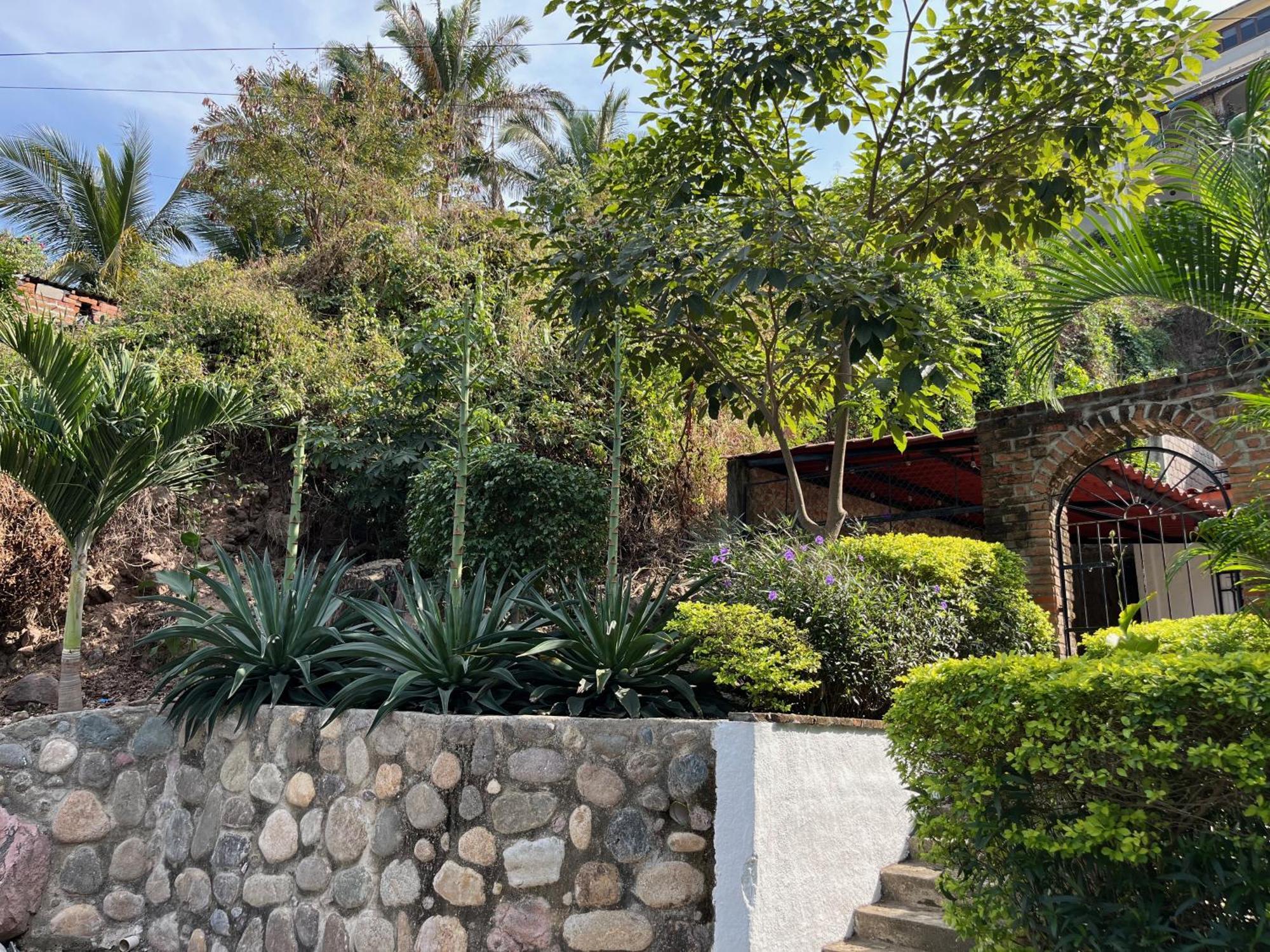 Villa Palmier -Quiet Cosy Air Conditioned Terrace Пуерто Валярта Екстериор снимка