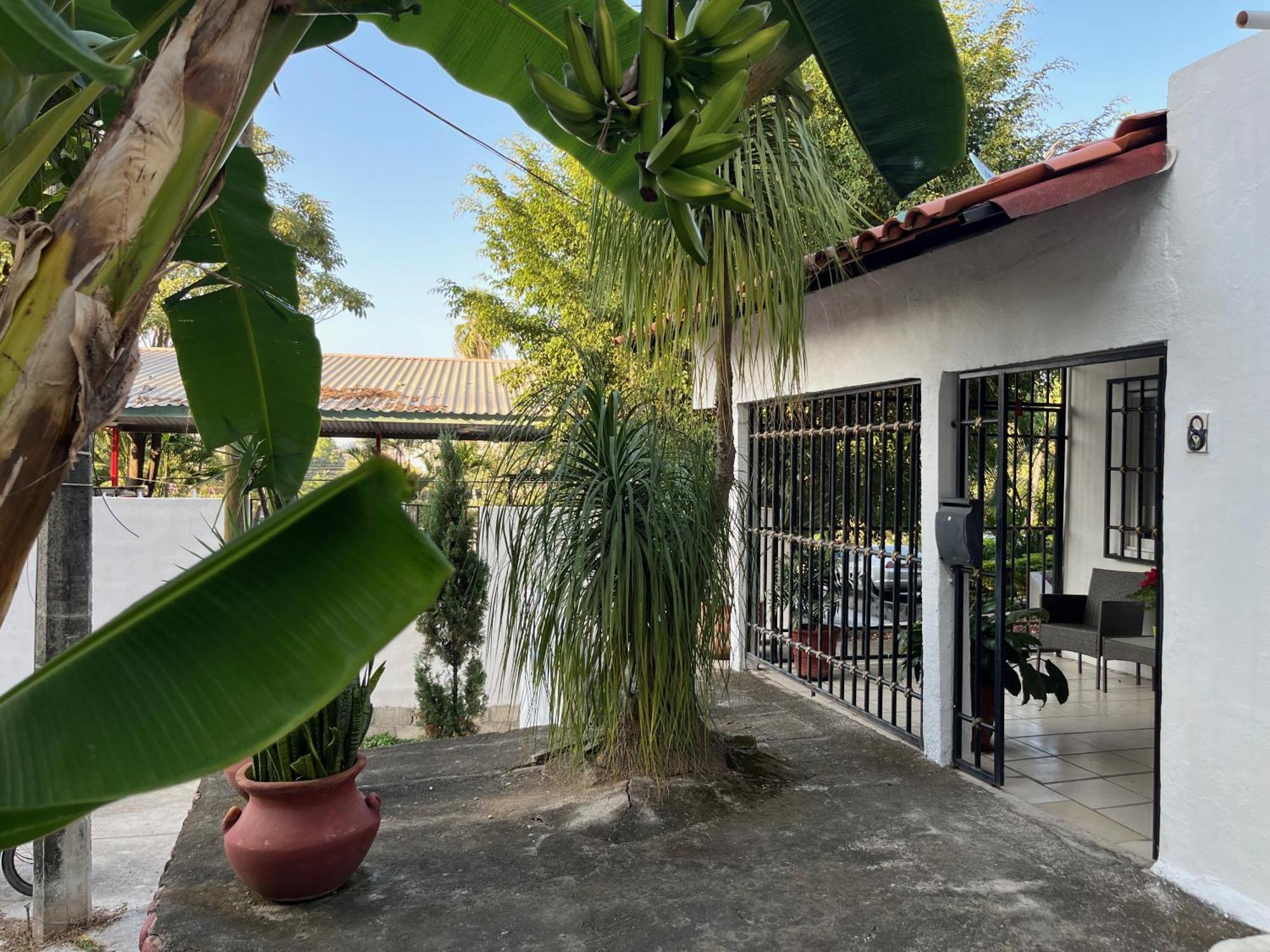 Villa Palmier -Quiet Cosy Air Conditioned Terrace Пуерто Валярта Екстериор снимка